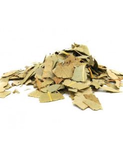 Eucalipto en Hoja