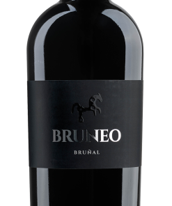 Bruneo Bruñal
