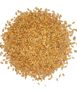Espelta