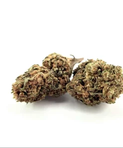 CBD OG Kush