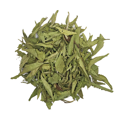 Stevia en hoja