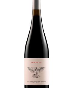 Abrí Las Alas 2014