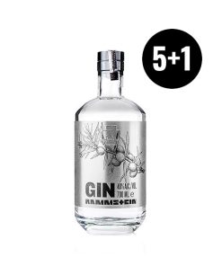 Caja Rammstein Dry Gin 5 + 1 Gratis